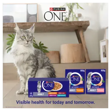 Purina ONE visible health for today and tomorrow
