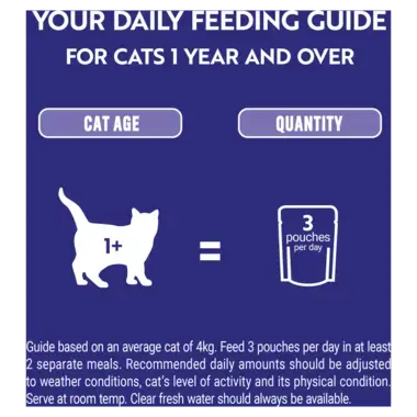 Your daily feeding guide