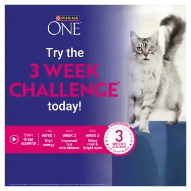 Try the 3 week challenge today