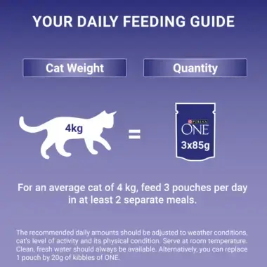 Your daily feeding guide