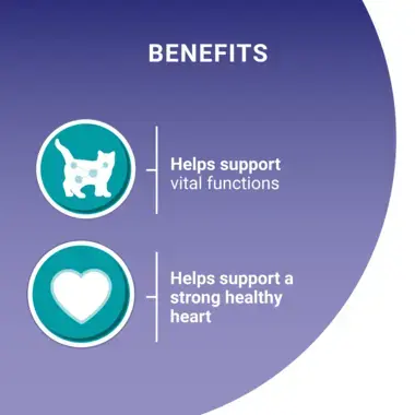 Benefits; helps support vital functions and a strong heart