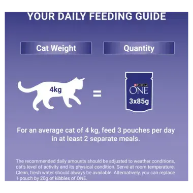 Your daily feeding guide