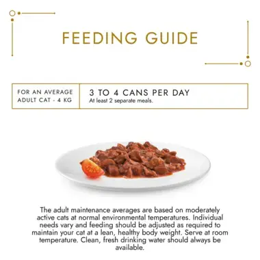 Feeding guide