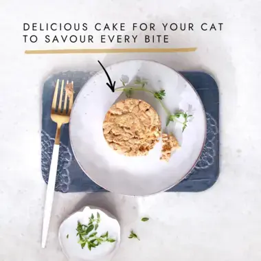 Delicious cake for your cat to savour every bite
