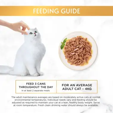 Feeding guide