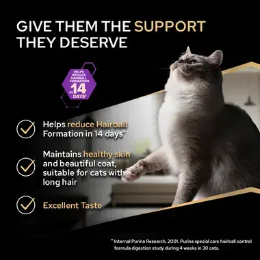 Give them the support they deserve