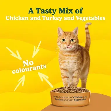 GO-CAT® Indoor Chicken Dry Cat Food