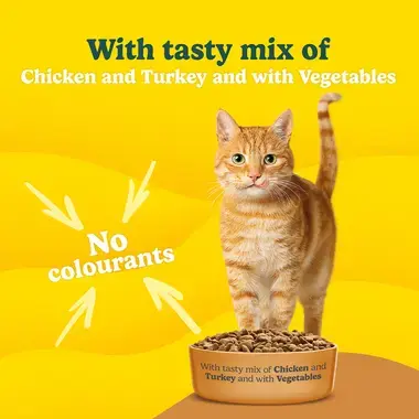 GO-CAT® Senior Chicken Dry Cat Food