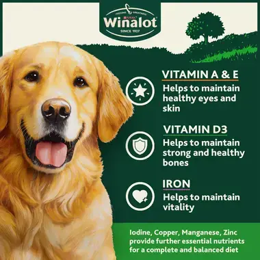 Vitamin A & E, Vitamin D and Iron