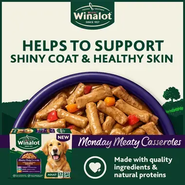 Helps to support shiny coat & healthy skin