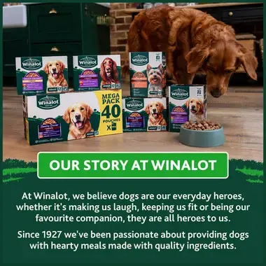 Our story at Winalot
