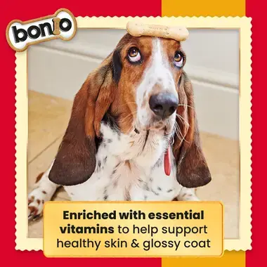 Bonio enriched with essential vitamins