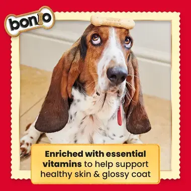 Bonio enriched with essential vitamins