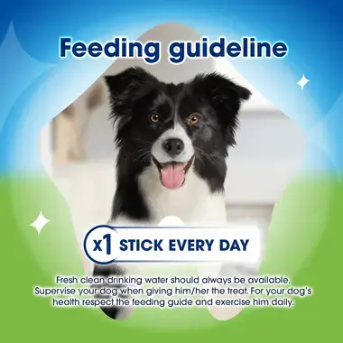 Feeding guideline: 1 stick a day
