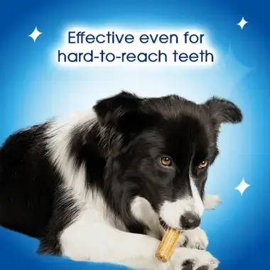 Effective even for hard-to-reach teeth