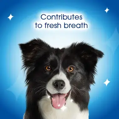 Contributes to fresh breath