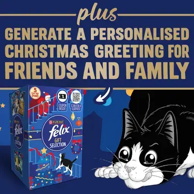 plus generate a personalised christmas greeting for friends and family
