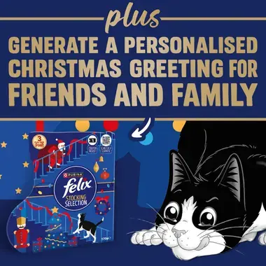 plus generate a personalised christmas greeting for friends and family