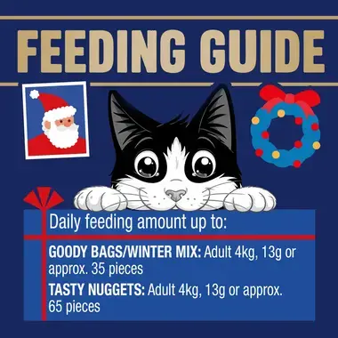 Feeding guide