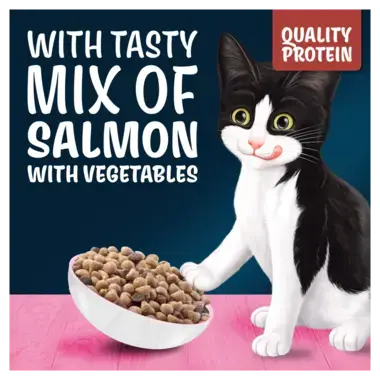 With tasty mix of salmon with vegetables