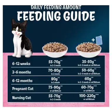 Daily feeding amount