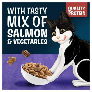With tasty mix of salmon with vegetables