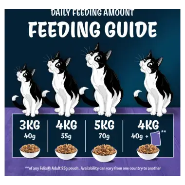 Daily feeding amount