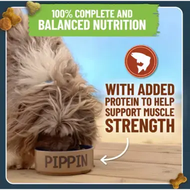 100% complete and balanced nutrition