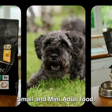 YouTube | Hear Alfie's Pro Plan story!