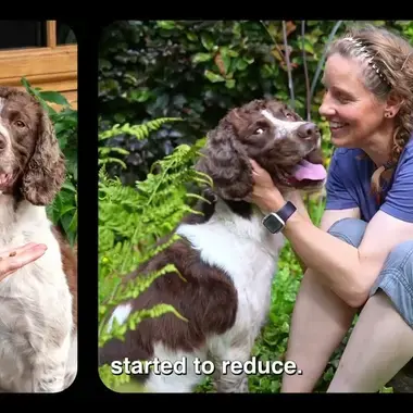 YouTube | Hear AJ's Pro Plan story!