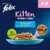 FELIX® As Good As it Looks Kitten Fish Selection in Jelly Wet Cat Food