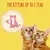 For kittens up to 1 year