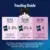 Feeding guide for kittens