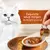 Exquisite soup recipes to delight your cat