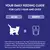 Your daily feeding guide for cats 1 year and over
