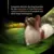 Complete dietetic dry dog food diet for the reduction of ingredient and nutrient intolerances