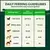 Daily Feeding Guidelines