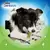 Dentalife dog eating an Activfresh chew