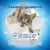 Feeding guideline x17 treats daily to adult cats weighing 3kg