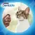 Dentalife cat being shown a kibble