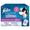 FELIX As Good As it Looks Kitten Mixed Selection in Jelly Wet Cat Food