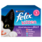 FELIX® Kitten Mixed Selection in Jelly (Beef, Poultry, Trout, Tuna) Wet Cat Food