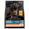 PRO PLAN® Large Robust Everyday Nutrition Chicken Dry Dog Food