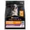 PRO PLAN® Medium and Large Adult 7+ Age Defence Chicken Dry Dog Food