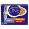 PURINA ONE® Mini Fillets Chicken and Beef Wet Cat Food