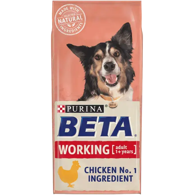 Purina beta puppy 2025