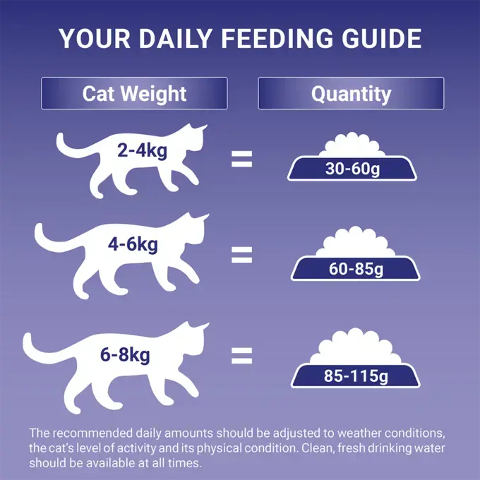 Purina one cat food feeding chart 2025