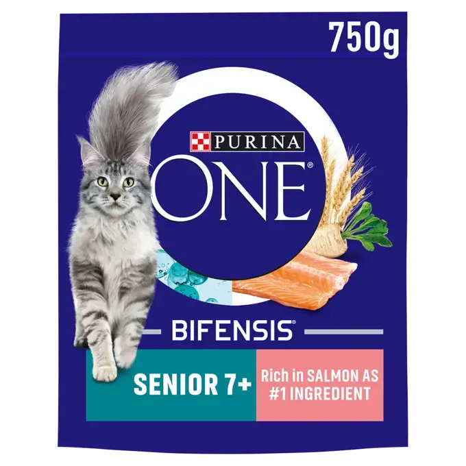Purina one senior dry cat food outlet