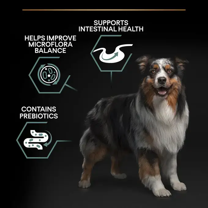 Pro plan sensitive digestion dog food online