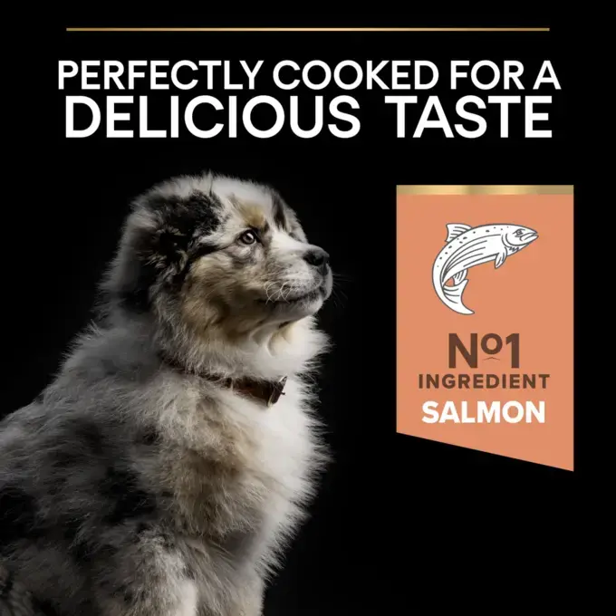 Pro plan puppy salmon new arrivals